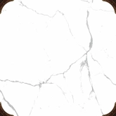 ST 0205 Керамогранит Statuario 0205